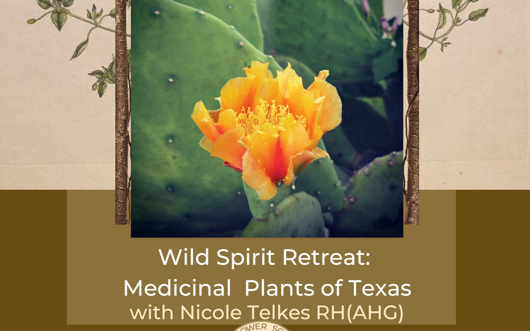 Wild Spirit: Medicinal Plants & Place Texas Retreat