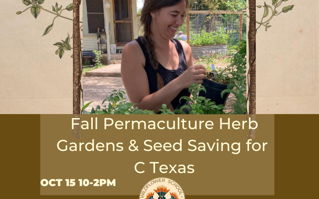 C. Texas Fall Permaculture Gardens & Seed Saving