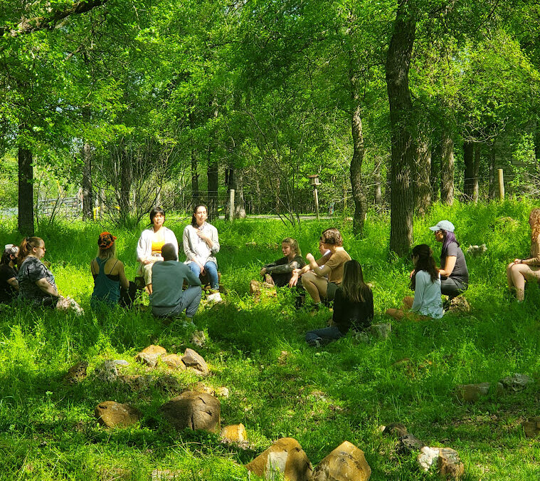 Live Q&A 2024 Herbal Programs