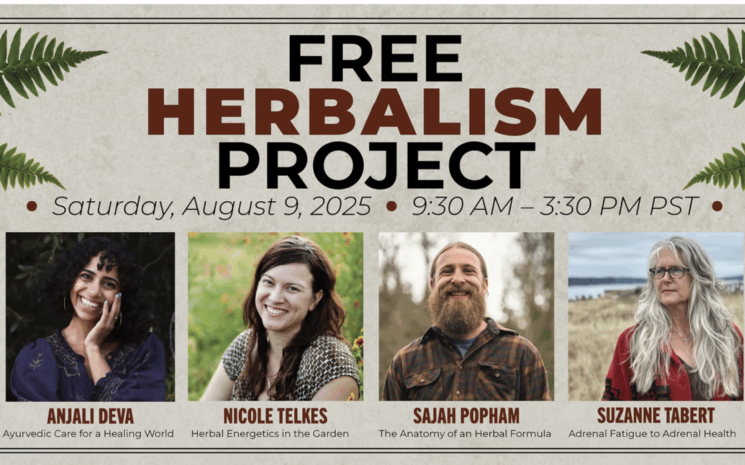 Mtn Rose Herbs Free Herbalism Project Seattle